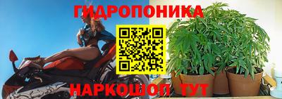хмурый Будённовск