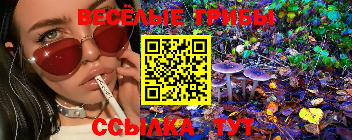 Галлюциногенные грибы MAGIC MUSHROOMS Саров