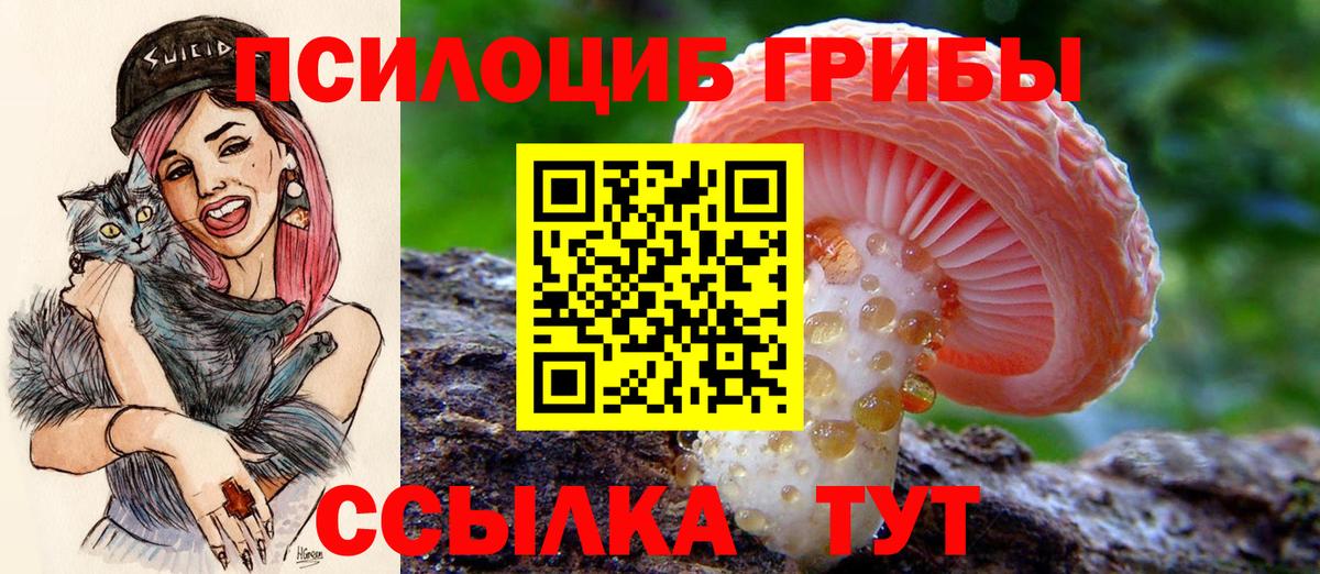 как найти   Вход с VPN  Саров  Галлюциногенные грибы мухоморы 